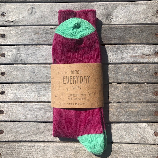 The Alpaca Every Day Heel and Toe Contrast Socks Raspberry/Pea